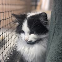 Photo of 🌾 Weetbix 5823 🌾