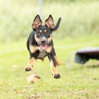 Photo of Delilah