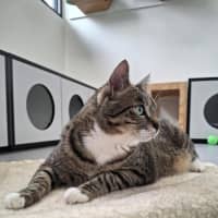 Photo of Ziggy