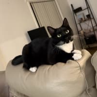 Photo of Miss Mog