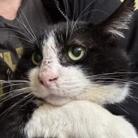 Photo of Bruce Wayne