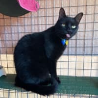 Photo of Luca & Smudge