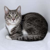 Photo of Sadie