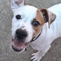 Photo of Cash