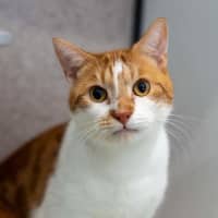 Photo of Xingxing