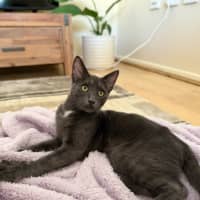 Photo of Tiny