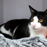 Photo of Jet Rsuk011998