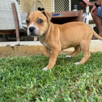 Photo of Rosie