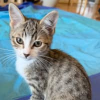 Photo of Minx