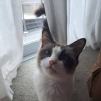 Photo of Aura