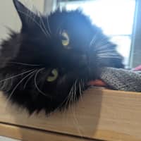 Photo of Lillith