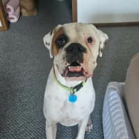 Photo of Storm
