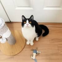 Photo of 🍀Blanaid🍀