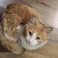 Photo of Churro