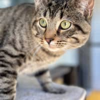 Photo of Albie