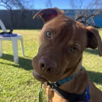 Photo of Benny