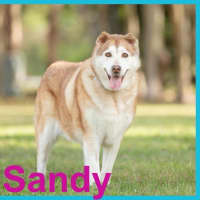 Photo of Kiki And Sandy