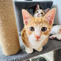 Photo of Chubby 🧡
