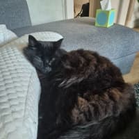 Photo of Clive   In Foster Care In Cheltenham