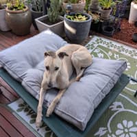 Photo of Blonde.  Nee Sharni 