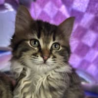 Photo of Charlie