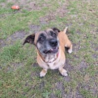 Photo of Wilma Imp 2408