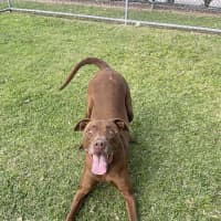 Photo of Judy