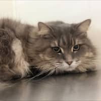 Photo of Talulah