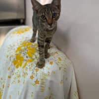 Photo of Wally (8983)