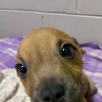 Photo of Chomp