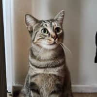 Photo of Toni
