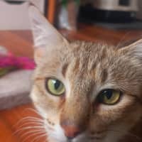 Photo of Esmerelda (Essie) 