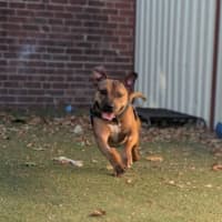 Photo of Winnie