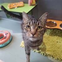 Photo of Gideon