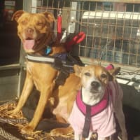 Photo of Ruby Tuesday