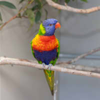 Photo of Lorri