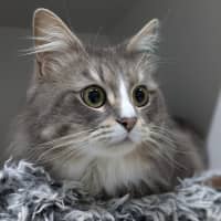 Photo of 🪁 Miles 5361  🪁