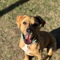 Photo of Butters