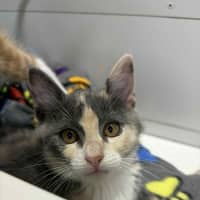 Photo of Martha & Morgan 