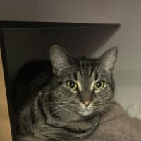 Photo of Duke