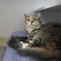 Photo of Mimi Imfurst