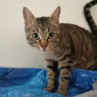 Photo of Curious Georgie