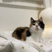 Photo of Poe