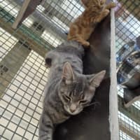 Photo of Autumn! 🍁