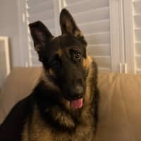Photo of Tank