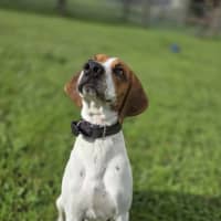Photo of Wally