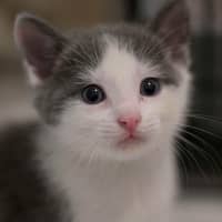 Photo of 💙 Concrete 🤍