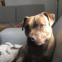 Photo of Milly