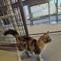 Photo of Maree! 🎀