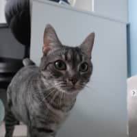 Photo of Kiara